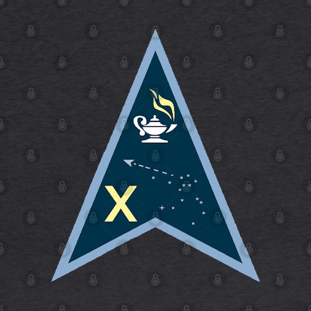 Space Force Delta 10 Logo by Spacestuffplus